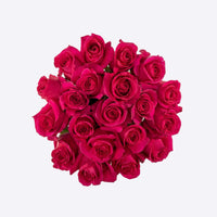 Cosmic Rose