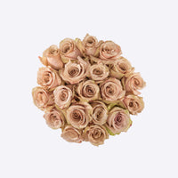 The Desert Rose