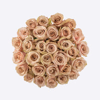 The Desert Rose