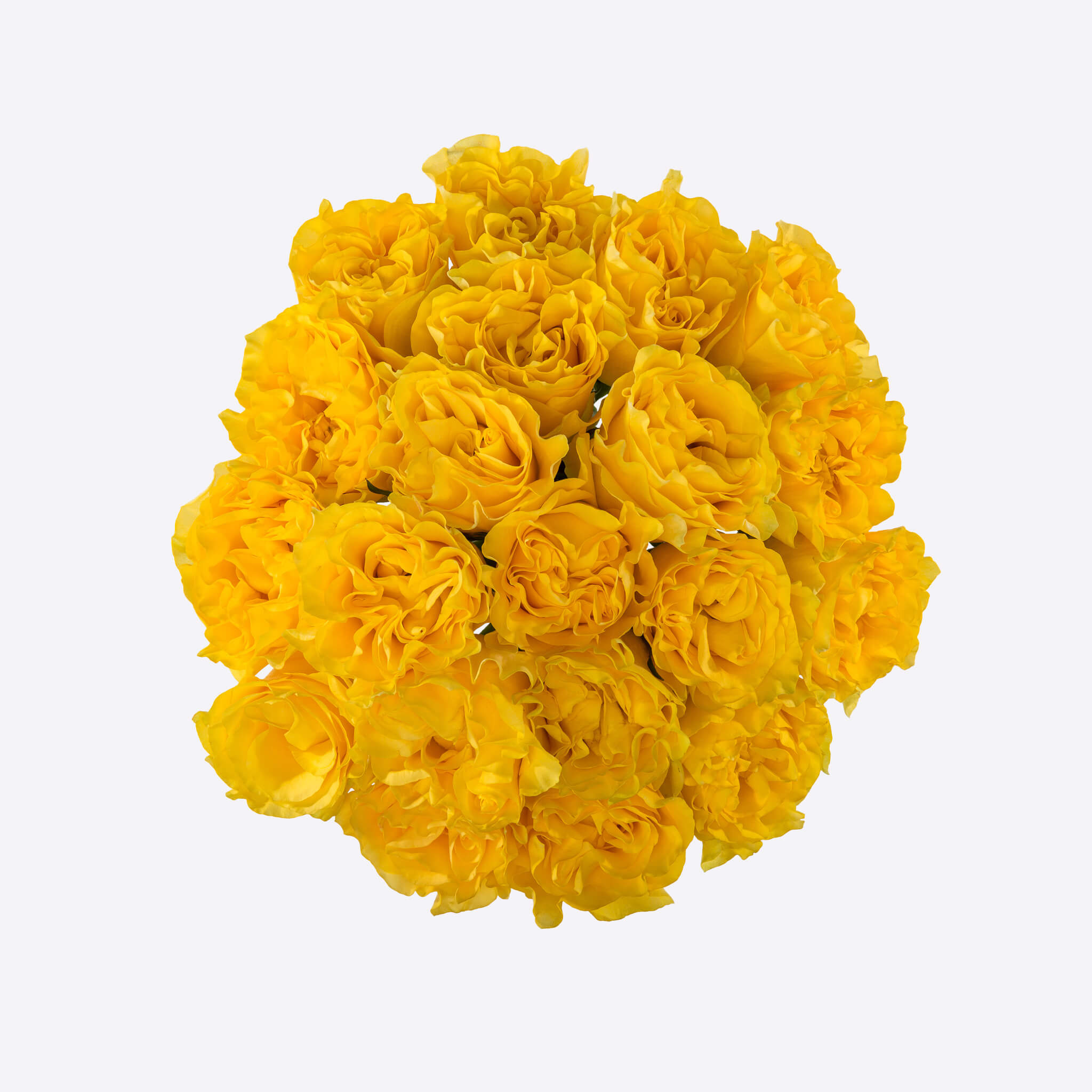 Golden Spirit Botania Flower Boutique