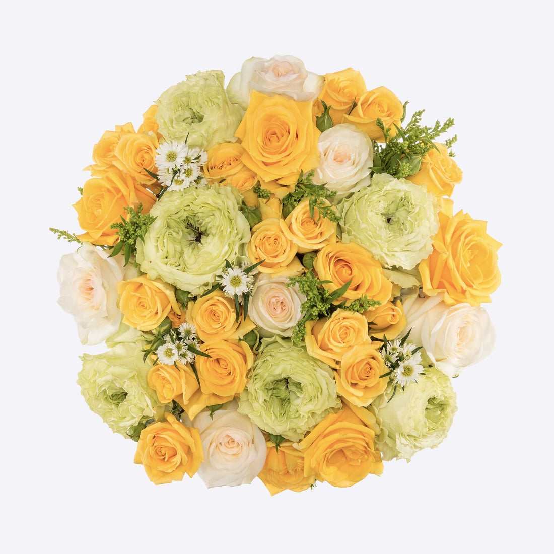 Lemon Chiffon