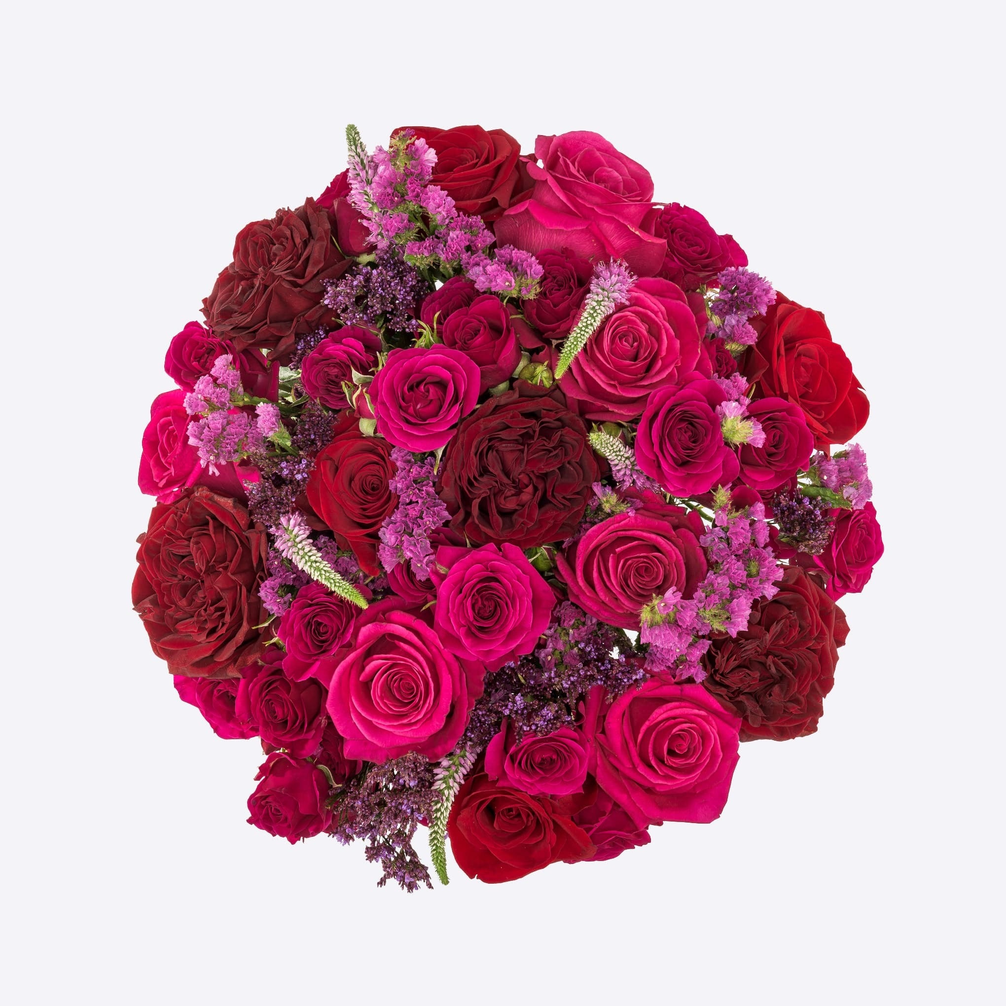 Modern Muse Botania Flower Boutique