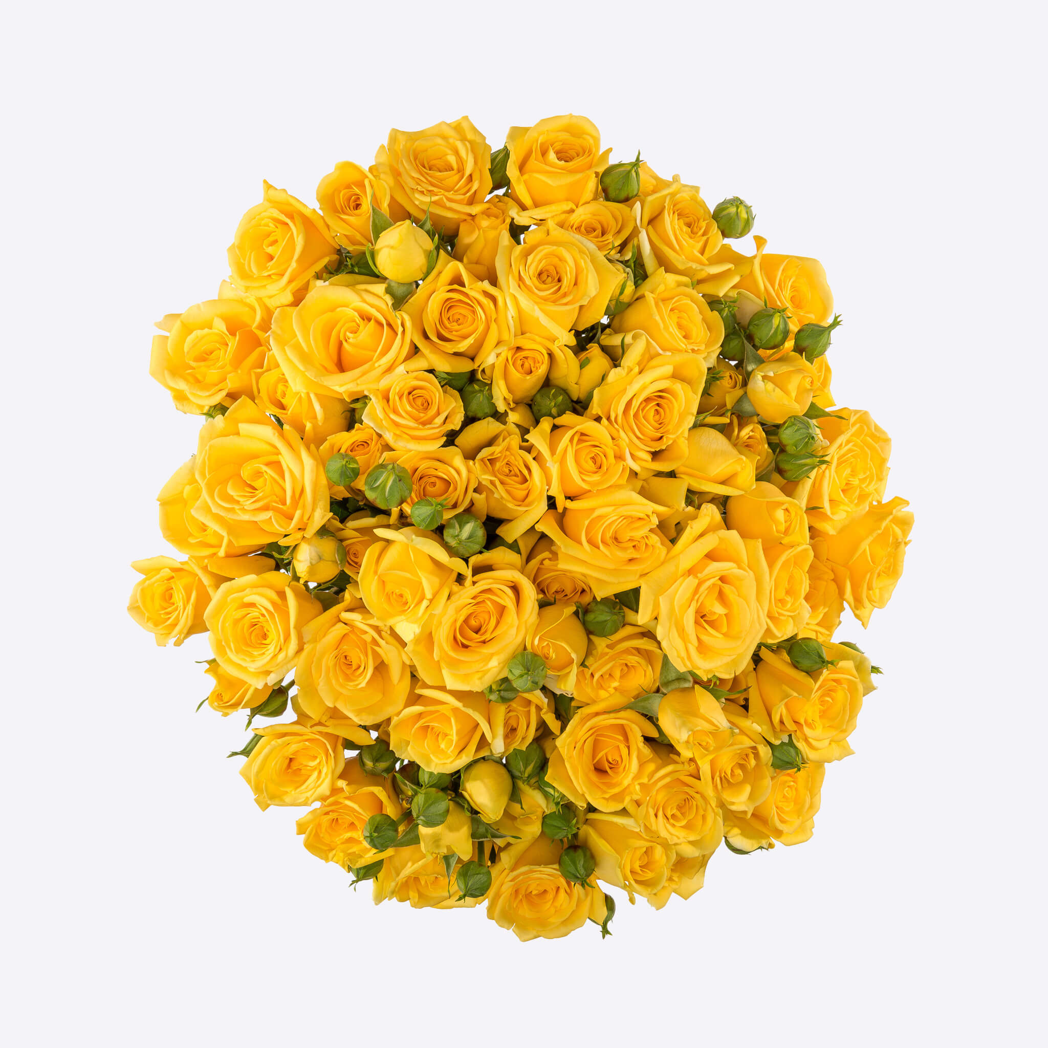 Botania Flower Boutique