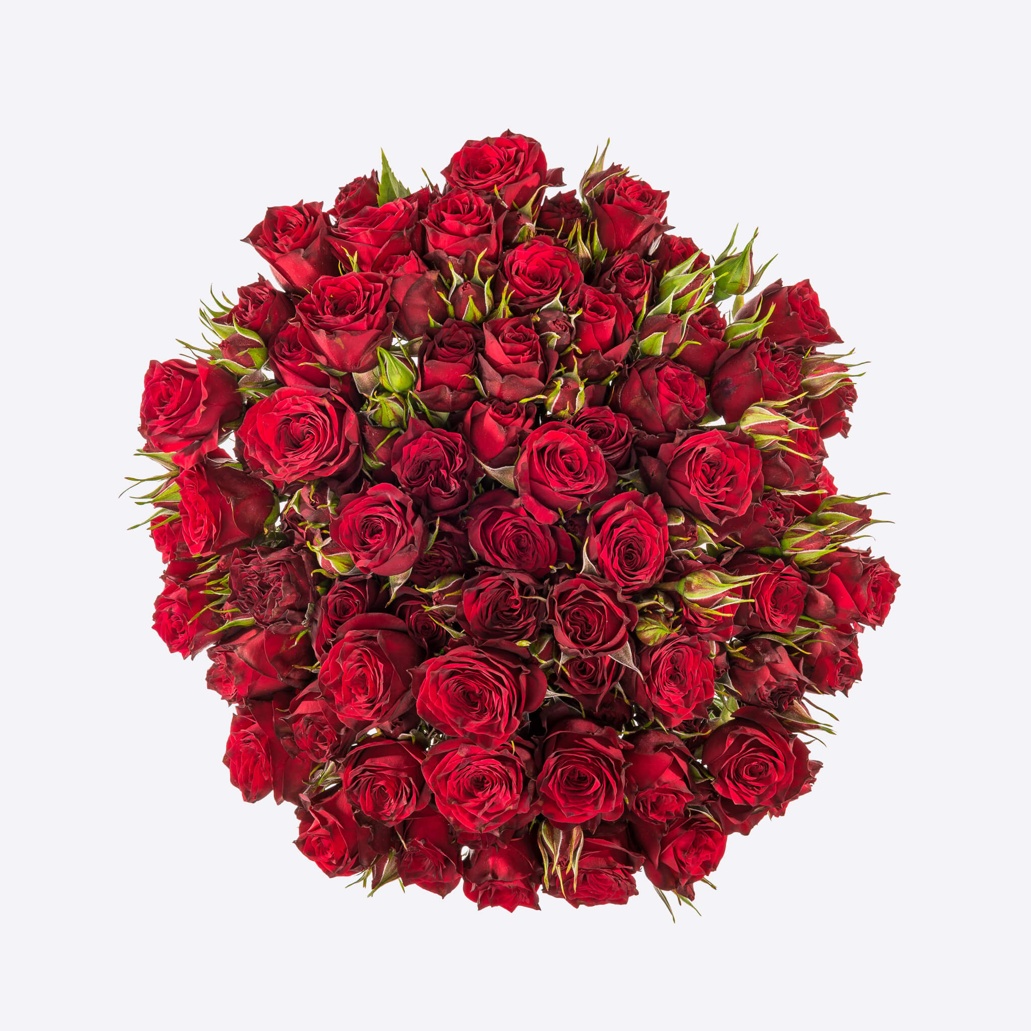 Ruby Red Roses Image Ruby – Botania Flower Boutique